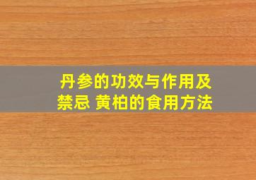 丹参的功效与作用及禁忌 黄柏的食用方法